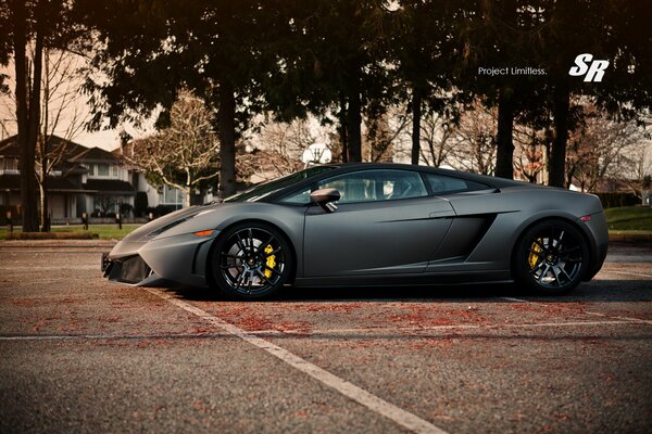 Lamborghini de baja altura contra árboles oscuros