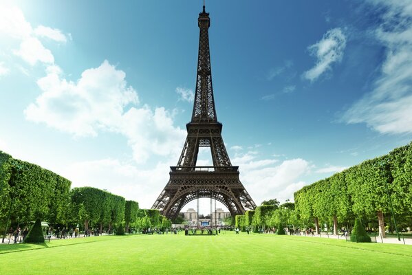 Eiffel Tower and green lawn