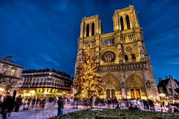 Notre Dame de Paris on New Year s holidays