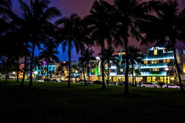Noc i palmy na tle jasnego oświetlenia budynków Miami
