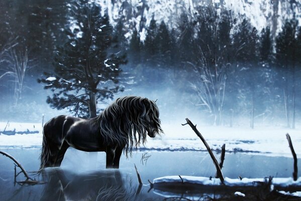 Beautiful horse art, winter, nature