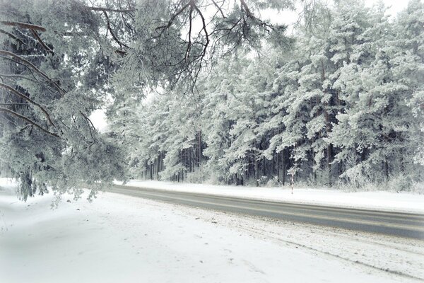 Una stretta strada innevata verso l ignoto