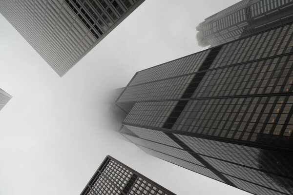 Black and white photo of skyscrapers in the fog