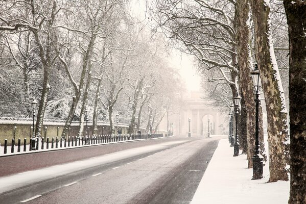 Angielska zimowa droga wśród drzew idąca w stronę łuku z latarniami
