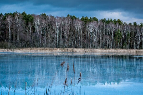 Jezioro przy lesie w zimnych porach roku