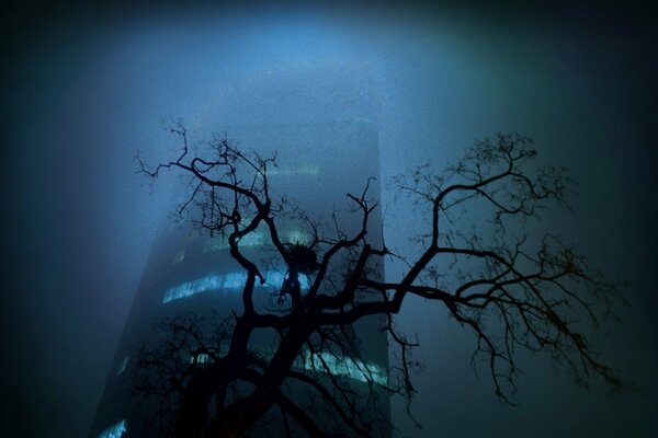 Einsamkeit in der Stadt, ein Baum und ein Gebäude