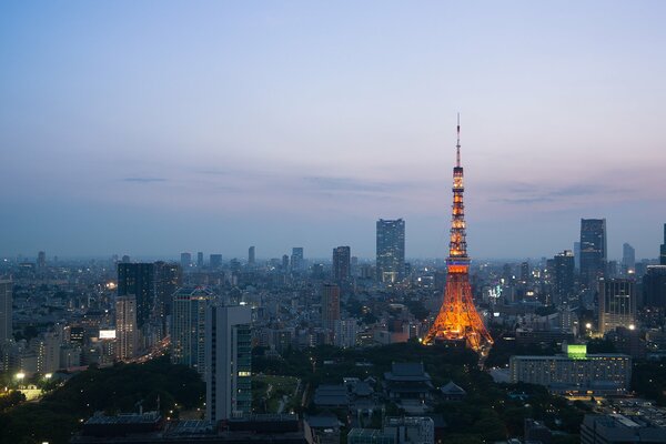 Огни башни в Токио в сумерках