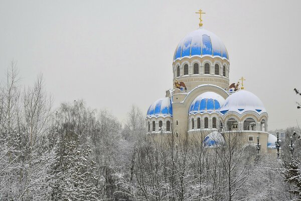 Blue domes of an Orthodox church, winter landscape