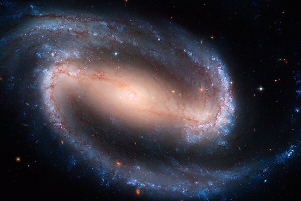 Stars in a bright spiral galaxy