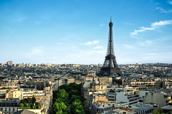 Schöne Architektur und Natur von Paris