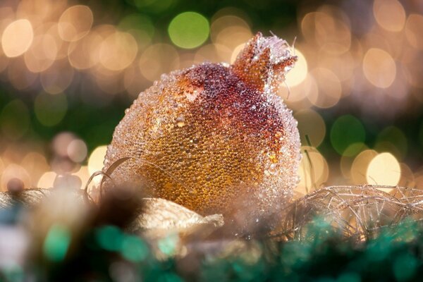 Garnet in sequins on festive tinsel