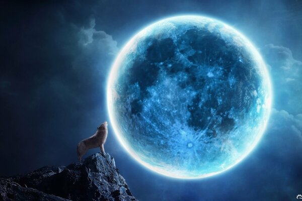 A wolf on a rock howling at the moon