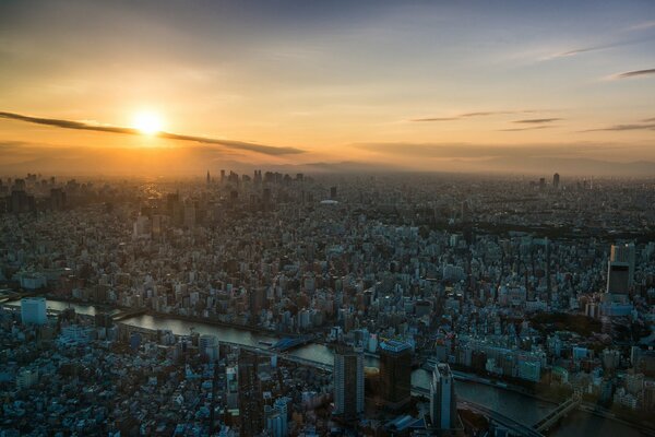 Vista della città di Tokyo all alba