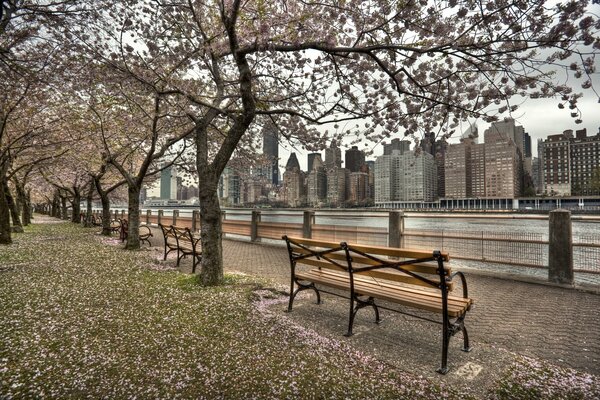 Spring Waterfront in New York City
