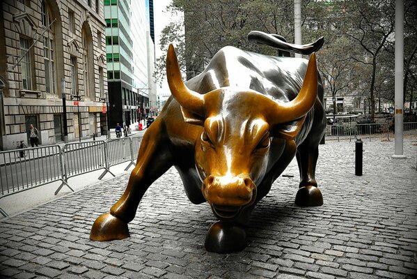 Arif Mahmoud statua in bronzo da 3200 chilogrammi di toro attaccante a New York City a Manhattan a Wall Street