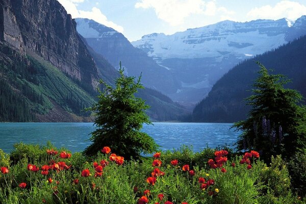 An extraordinarily beautiful mountain lake