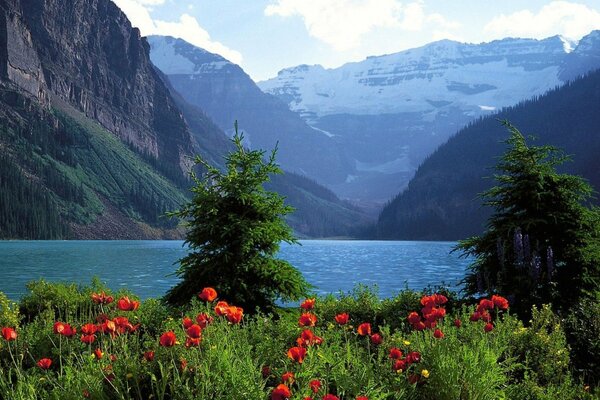 Niezwykle piękne górskie jezioro