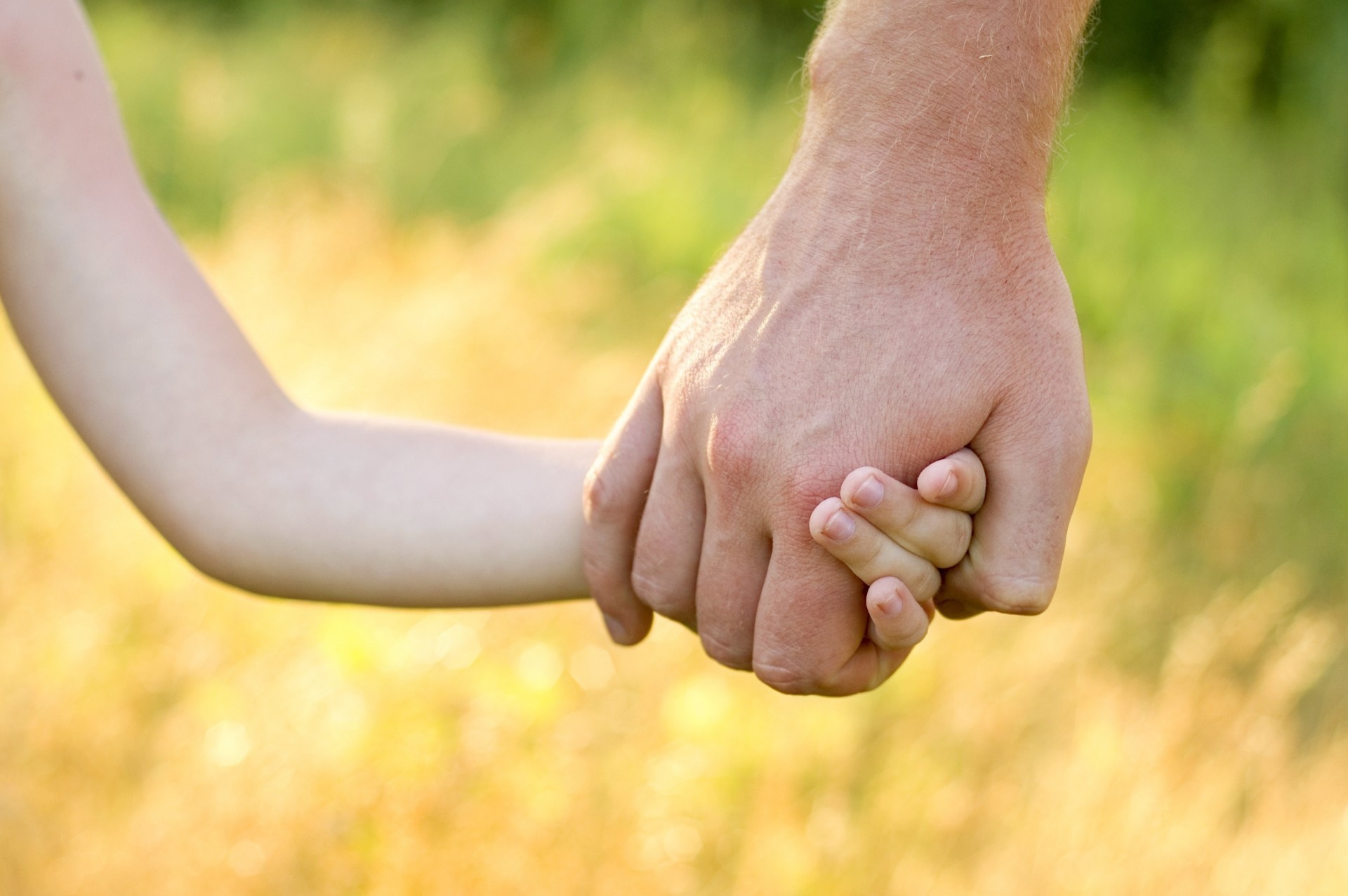 protección pantalla completa pantalla ancha estado de ánimo niños naturaleza hombre fondo manos bebé