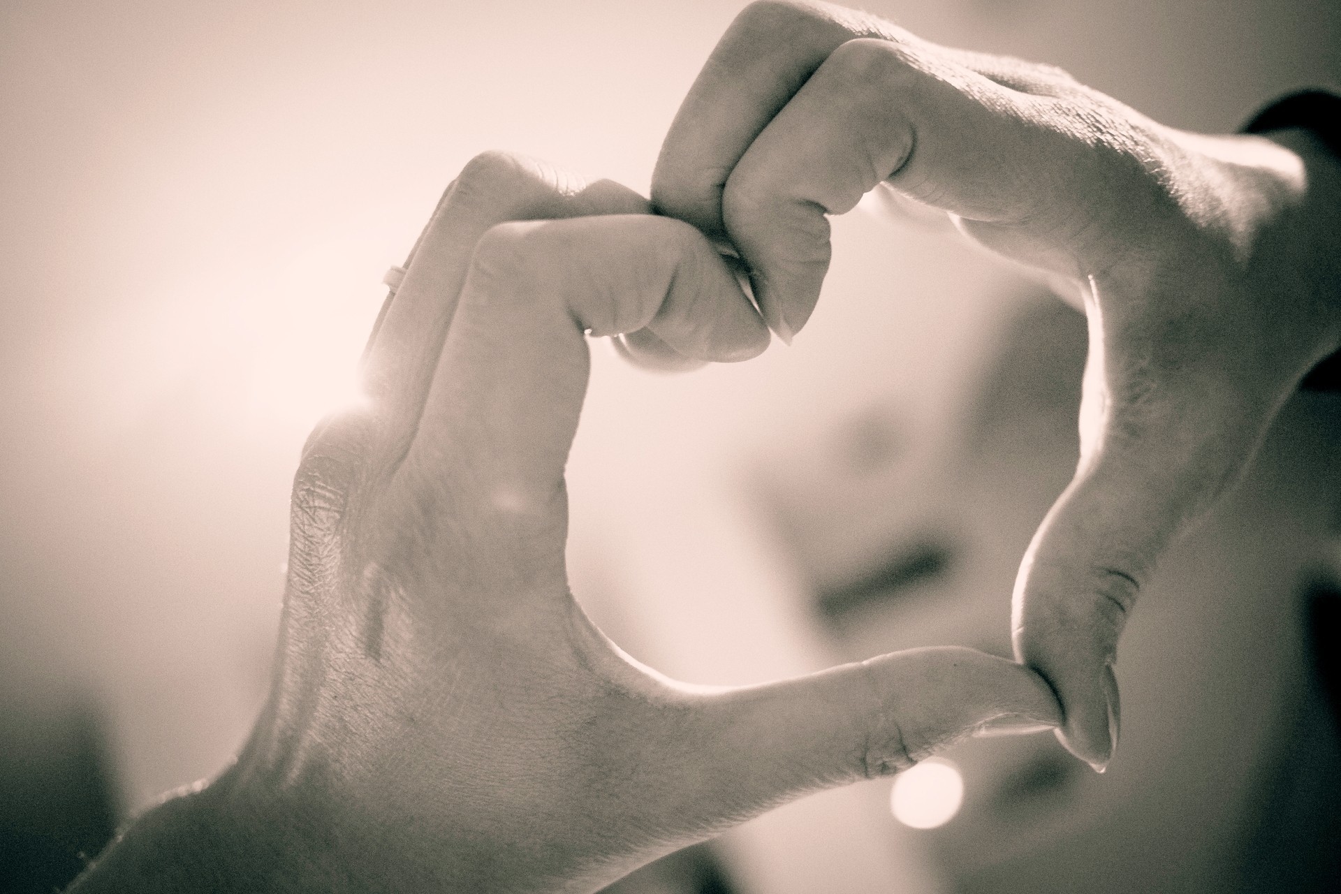 corazón mano amor día de san valentín