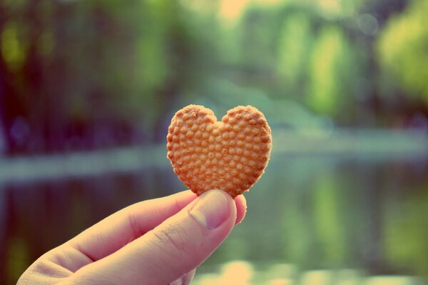 Heart-shaped sponge cookies, heart-shaped cookies