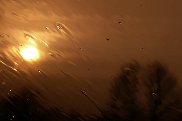 Blurred landscape, view from the car window, sunset view from the car