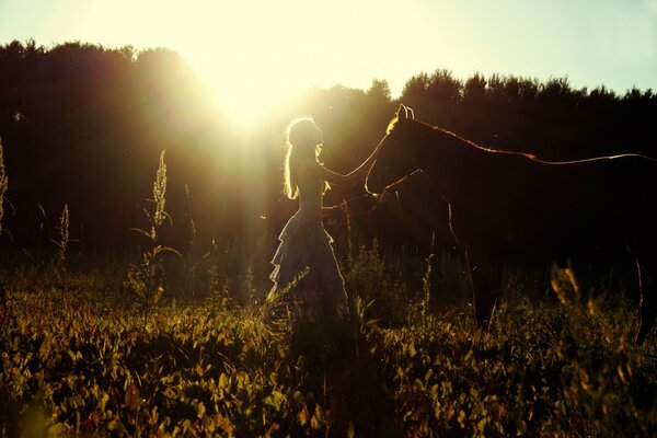 Letni spacer dziewczyny po polu z koniem