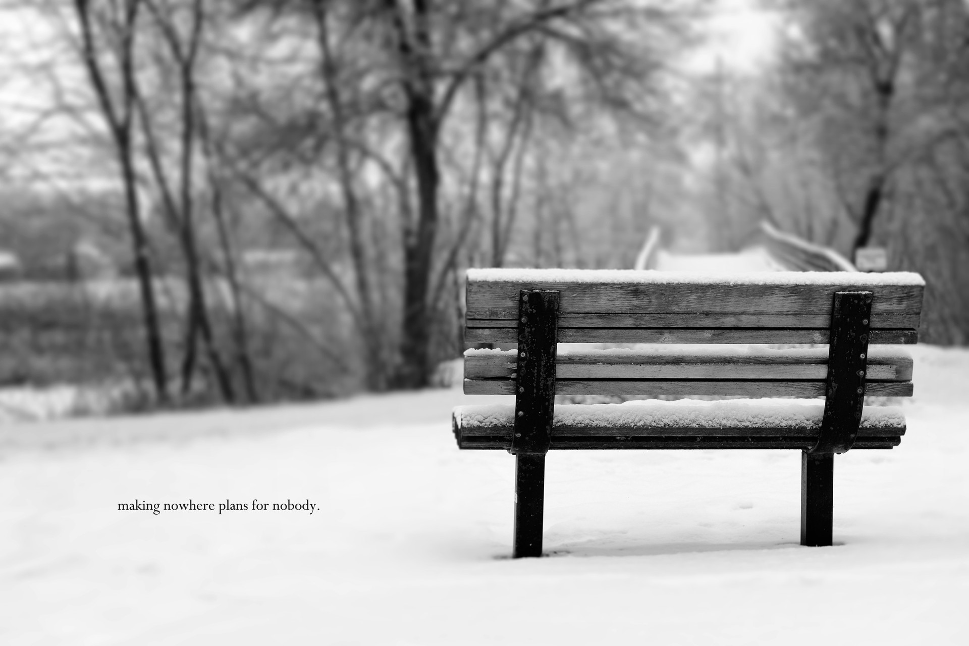 winter bench snow black and white inscription