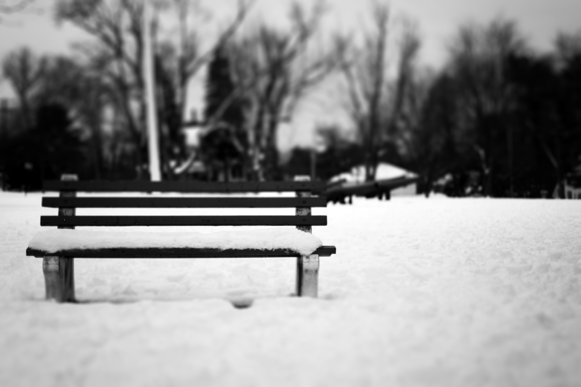 black and white bench snow winter