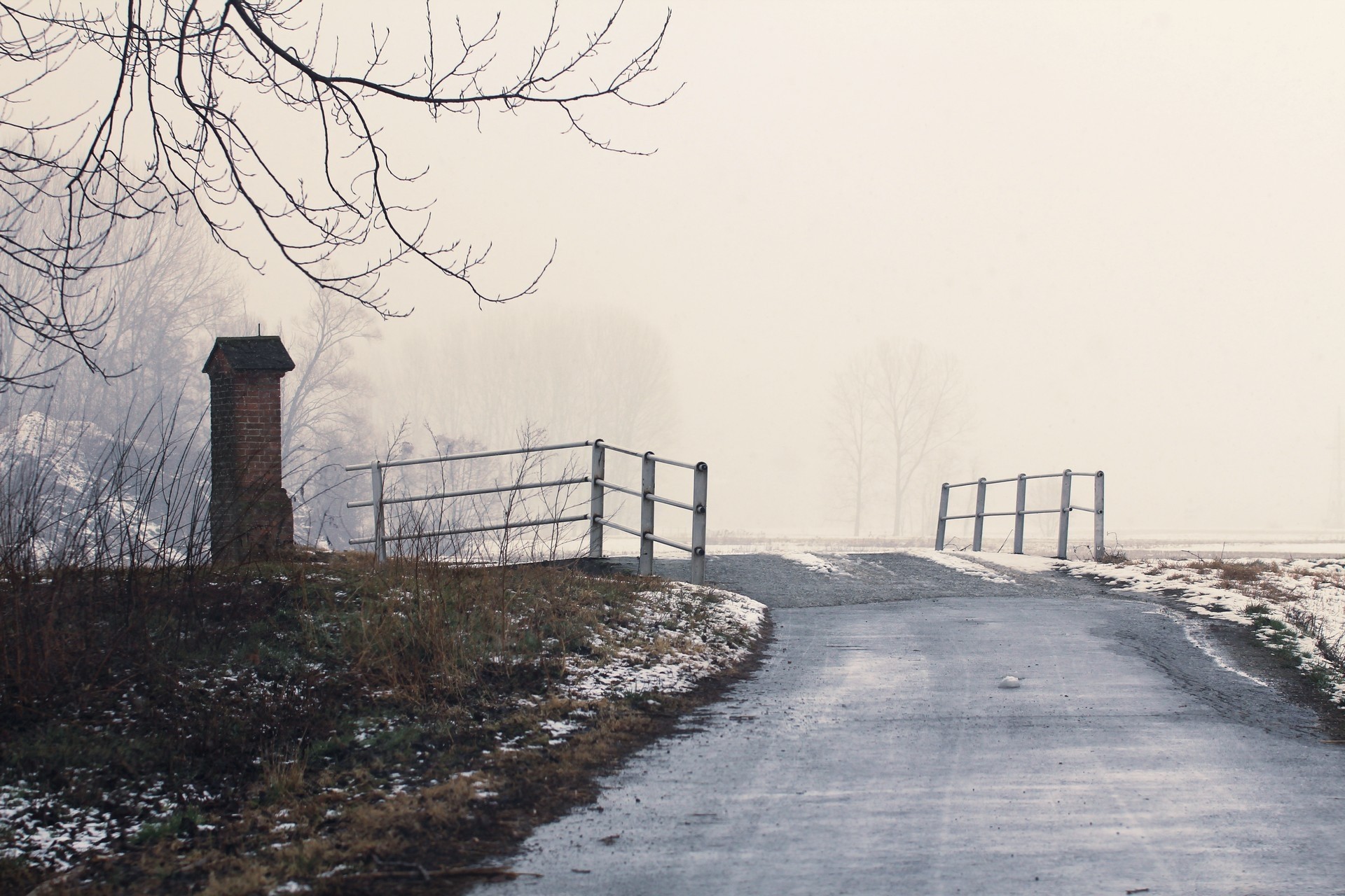 inverno nebbia paesaggio albero strada