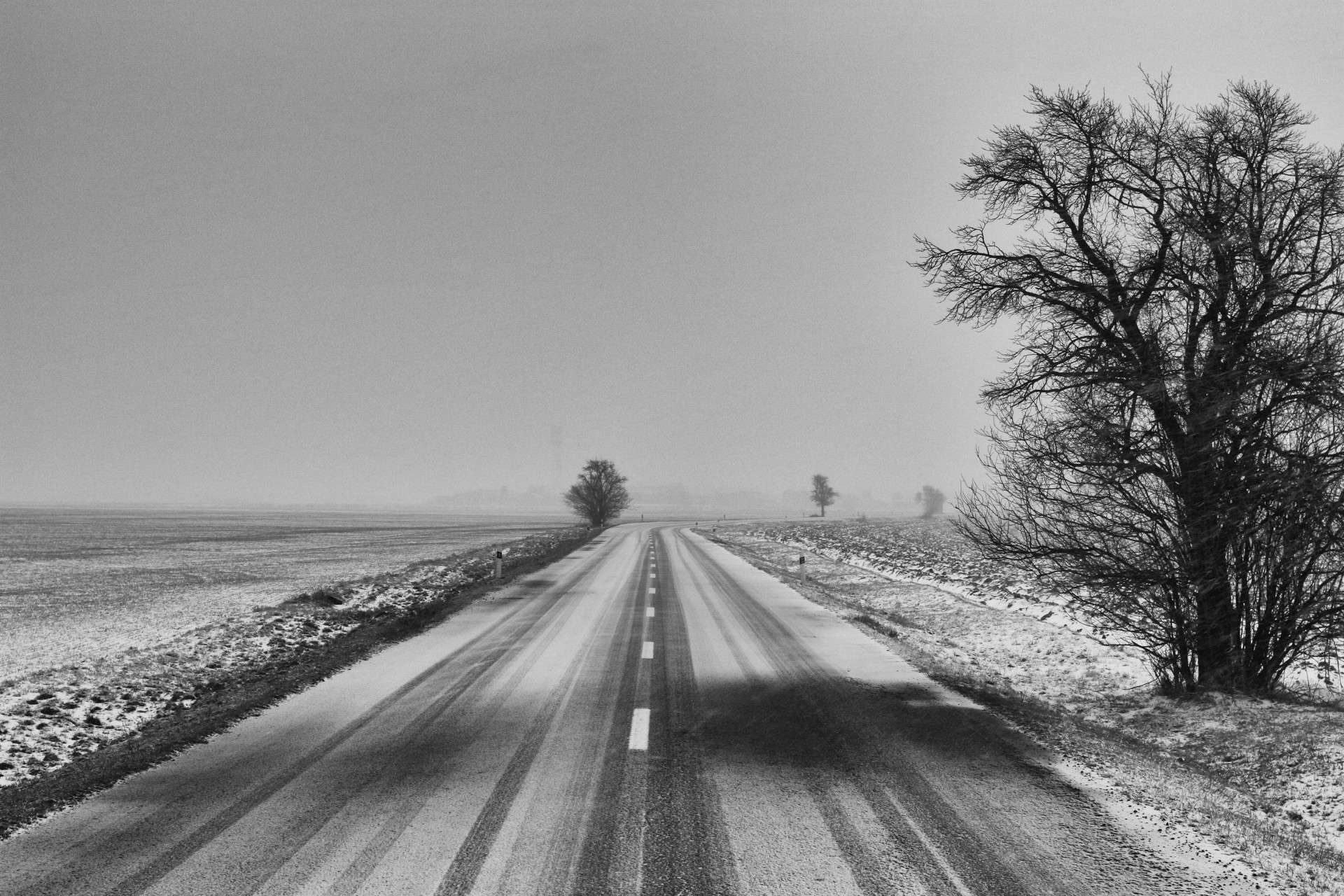 camino solitario invierno