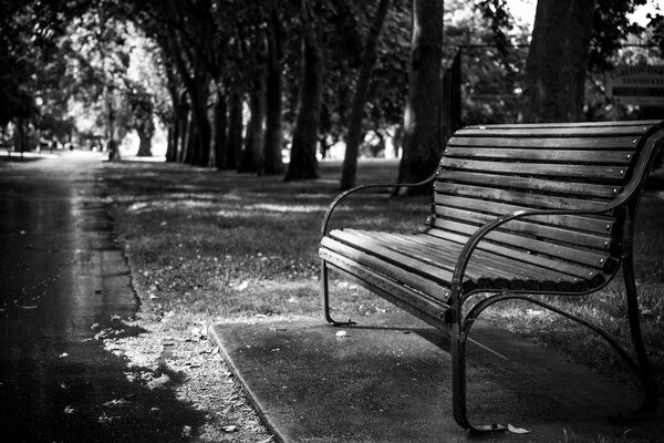 В парке во Флоренции стоит черно-белая скамья