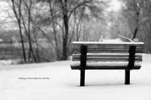 Bench in the snow black and white background