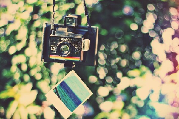 Verano, cámara Polaroid, hermosa foto en Polaroid