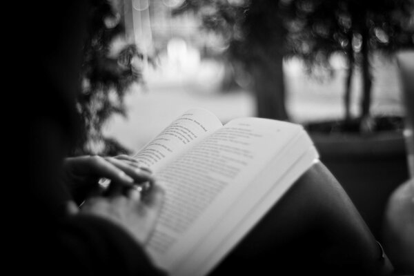 Foto im Schwarz-Weiß-Stil mit aufgeklapptem Buch