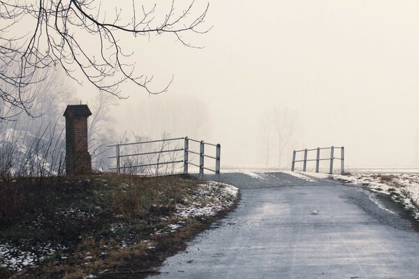 Winterlandschaft von Bäumen im Nebel