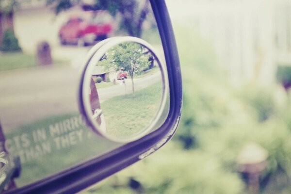 Reflet de la nature dans le miroir de la voiture