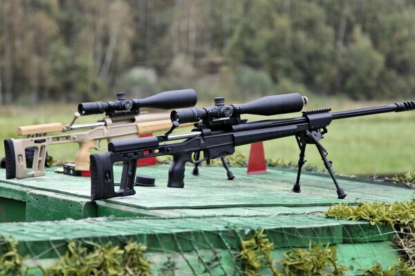 Rifles de francotirador rusos en el bosque