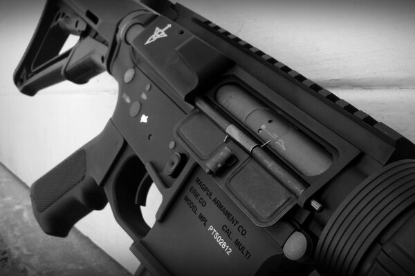 Immagine di un fucile su sfondo grigio