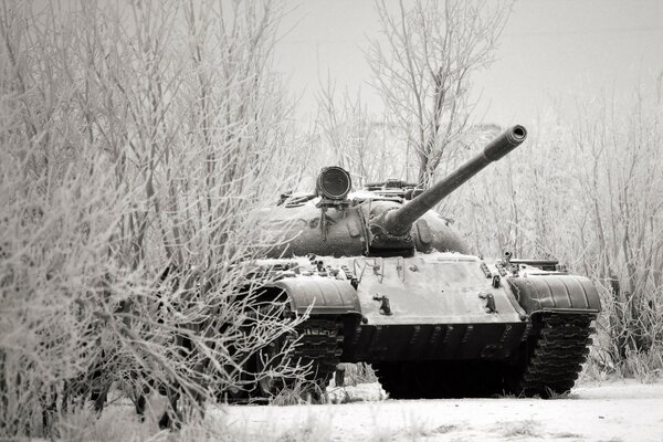 Potężny czołg jedzie przez zaśnieżony Las