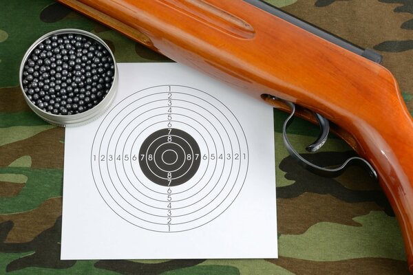 Equipment for training shooting - target, weapons and bullets