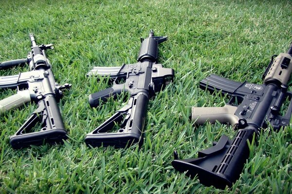 Military rifles on the grass