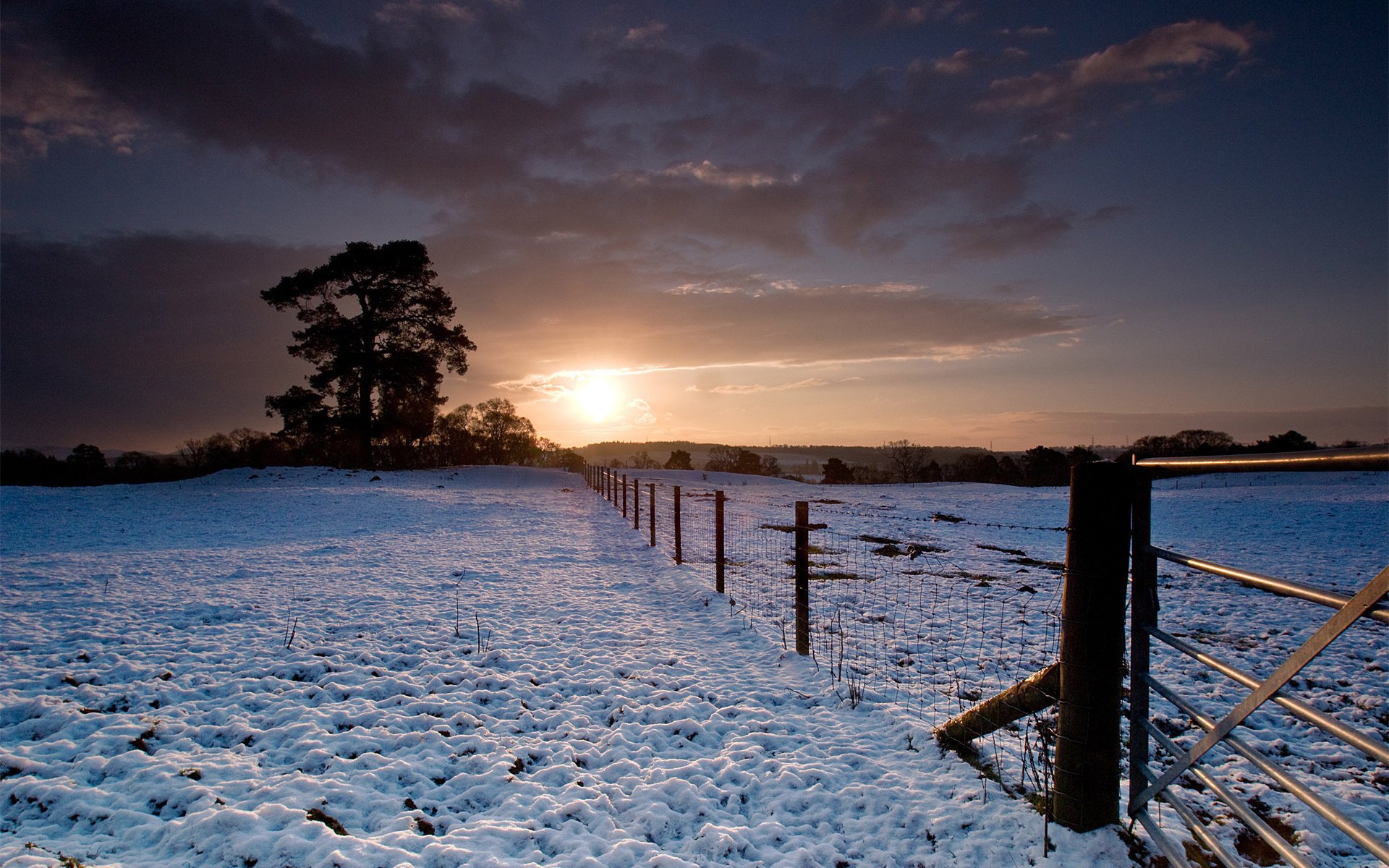 neige clôture arbres hiver coucher de soleil