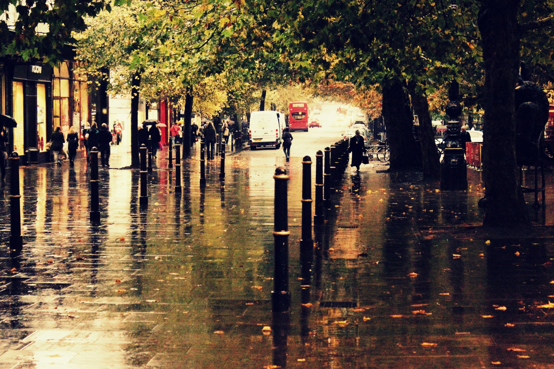 autumn town street rain