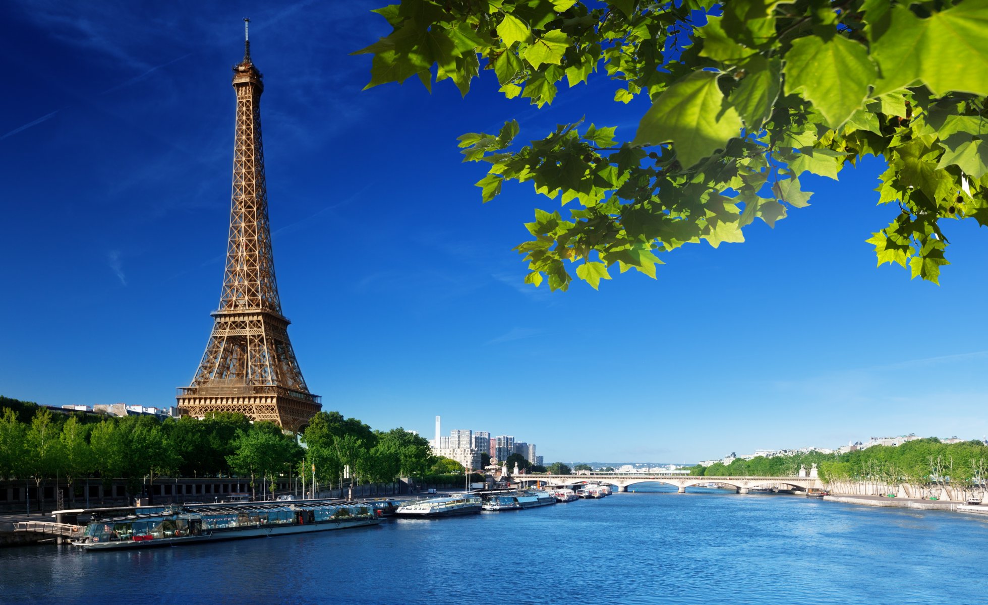 la tour eiffel paris france tour eiffel ciel feuilles vert été rivière seine pont