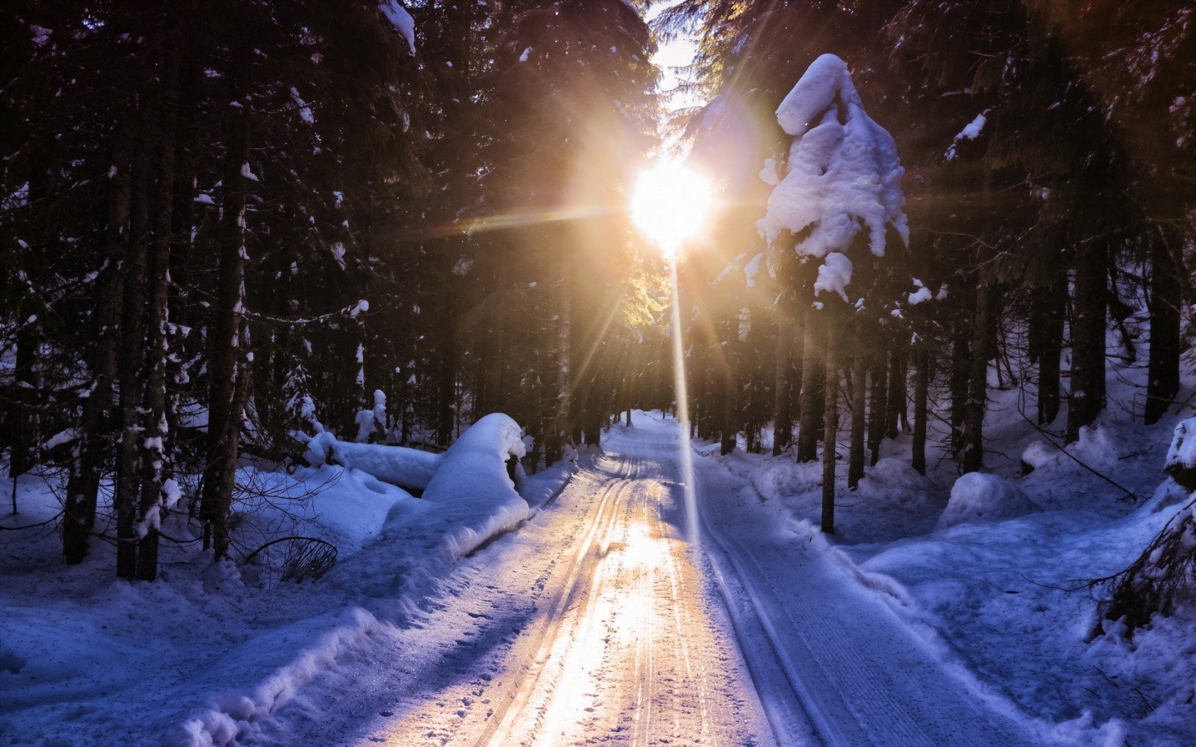 winter road forest