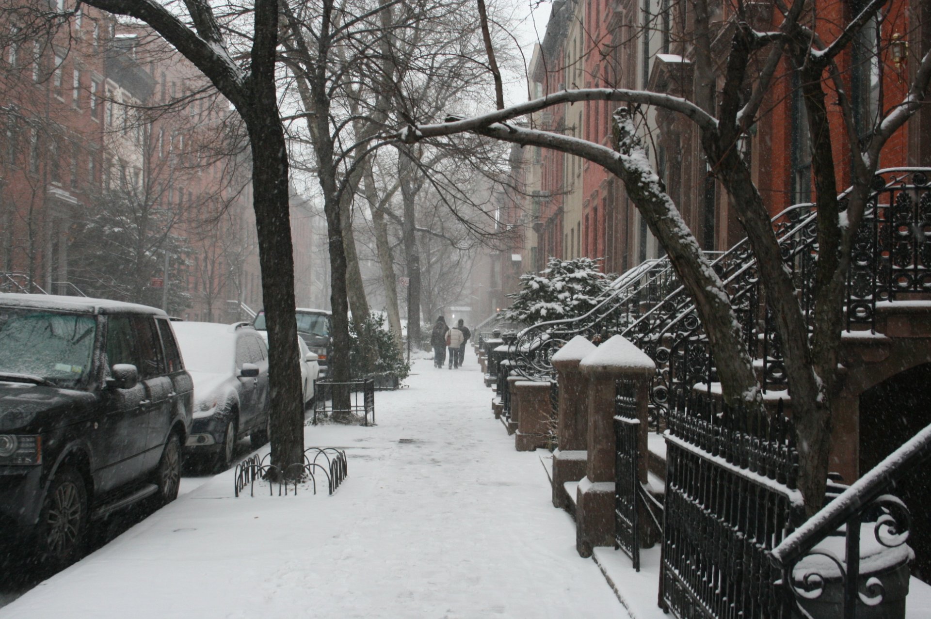 estados unidos triatlón nueva york invierno ciudad