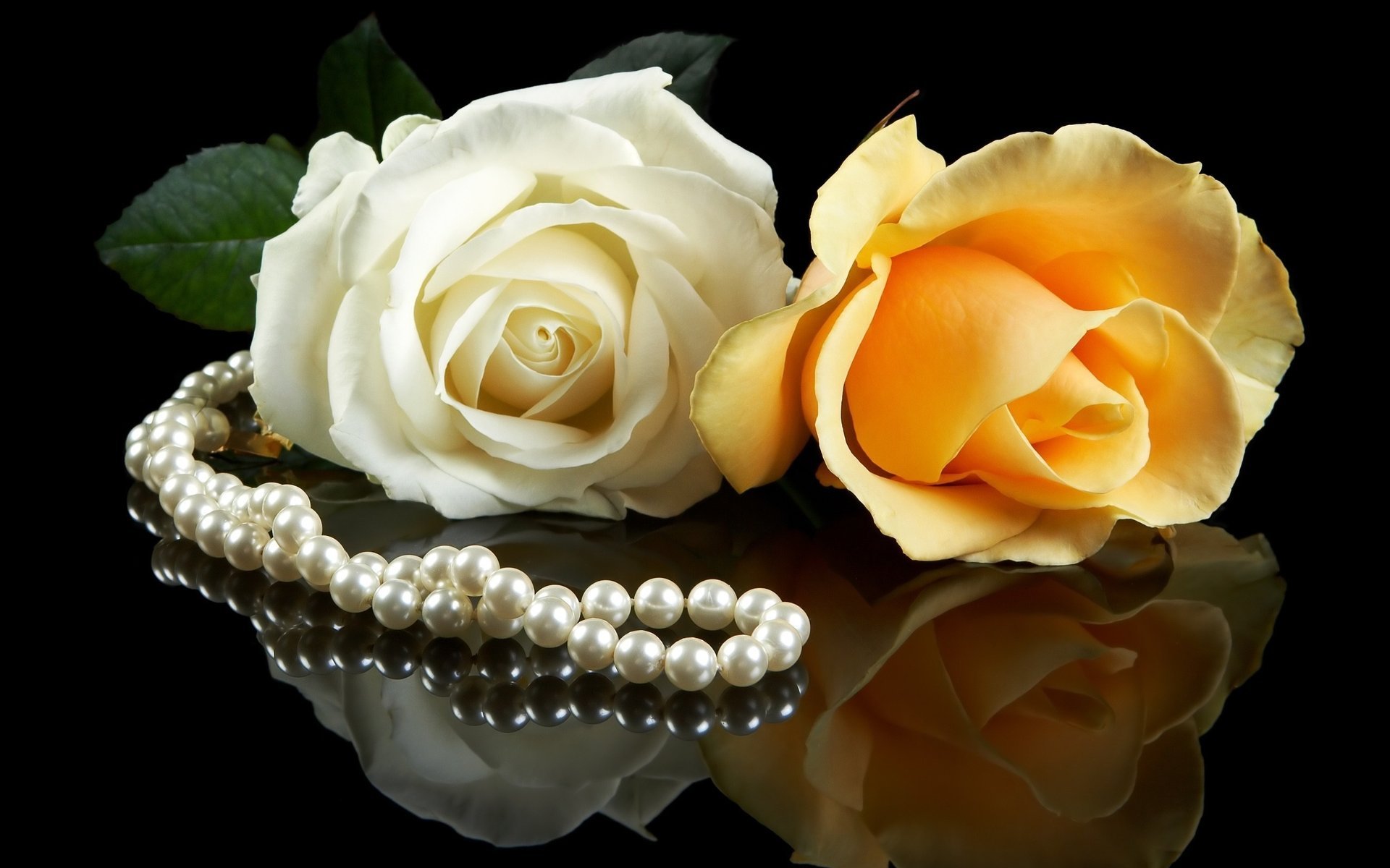 perles fleurs blanc couple jaune noir fond roses perles