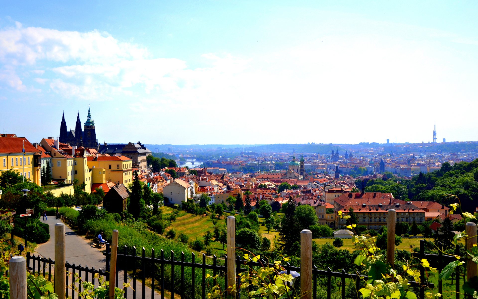 antico città repubblica ceca praga praga panorama architettura chiesa case fiume ponte estate paesaggio natura alberi