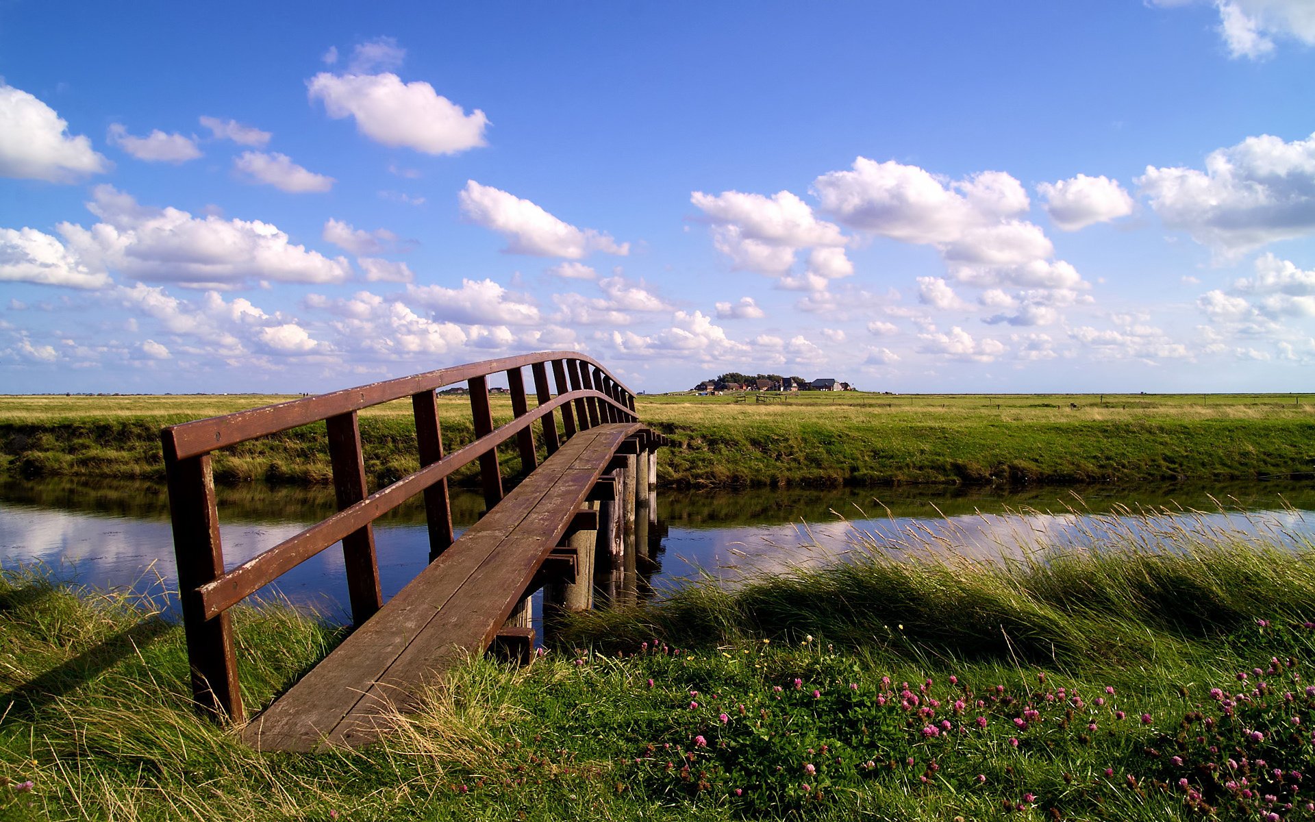 the bridge flowers grass clouds the sky stream pond