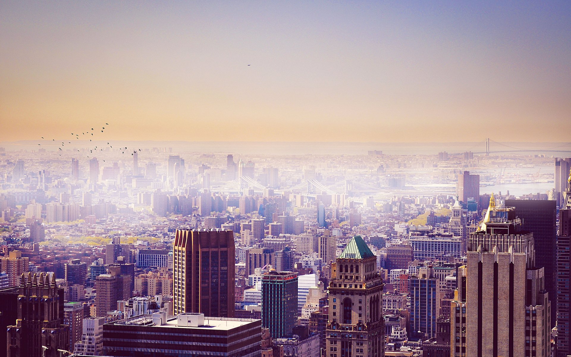 town buildings sky birds new york